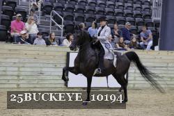 25BUCKEYE_10194 thumbnail