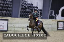 25BUCKEYE_10202 thumbnail