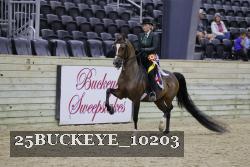 25BUCKEYE_10203 thumbnail