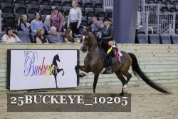 25BUCKEYE_10205 thumbnail
