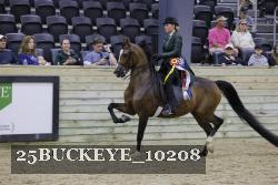 25BUCKEYE_10208 thumbnail