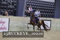 25BUCKEYE_10210 thumbnail