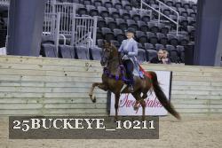 25BUCKEYE_10211 thumbnail