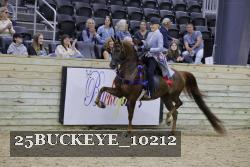 25BUCKEYE_10212 thumbnail