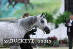 25BUCKEYE_10213 thumbnail