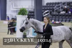 25BUCKEYE_10214 thumbnail