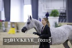 25BUCKEYE_10215 thumbnail