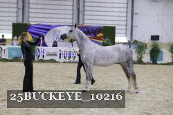25BUCKEYE_10216 thumbnail