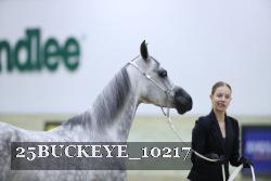 25BUCKEYE_10217 thumbnail