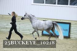 25BUCKEYE_10218 thumbnail