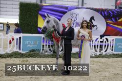 25BUCKEYE_10222 thumbnail