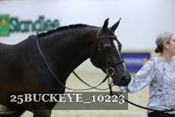 25BUCKEYE_10223 thumbnail