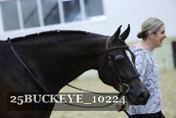 25BUCKEYE_10224 thumbnail