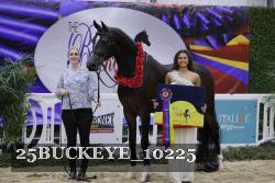 25BUCKEYE_10225 thumbnail