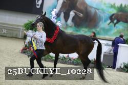 25BUCKEYE_10228 thumbnail