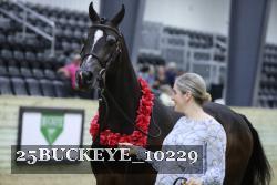 25BUCKEYE_10229 thumbnail