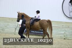 25BUCKEYE_10230 thumbnail