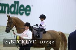 25BUCKEYE_10232 thumbnail