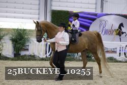 25BUCKEYE_10255 thumbnail