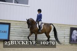 25BUCKEYE_10279 thumbnail