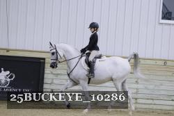 25BUCKEYE_10286 thumbnail