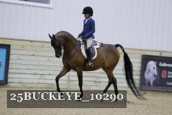 25BUCKEYE_10290 thumbnail