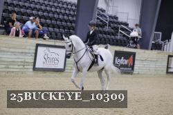 25BUCKEYE_10309 thumbnail