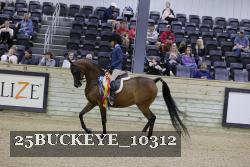 25BUCKEYE_10312 thumbnail