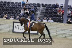 25BUCKEYE_10313 thumbnail