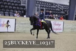 25BUCKEYE_10317 thumbnail