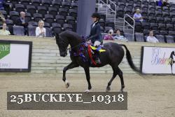 25BUCKEYE_10318 thumbnail