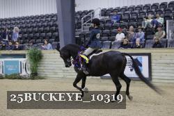 25BUCKEYE_10319 thumbnail