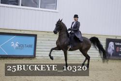 25BUCKEYE_10320 thumbnail