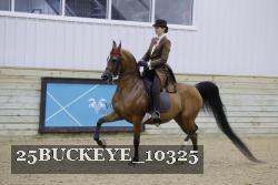 25BUCKEYE_10325 thumbnail