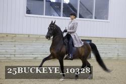 25BUCKEYE_10328 thumbnail
