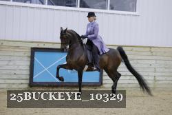 25BUCKEYE_10329 thumbnail