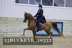 25BUCKEYE_10332 thumbnail