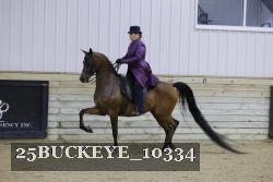 25BUCKEYE_10334 thumbnail