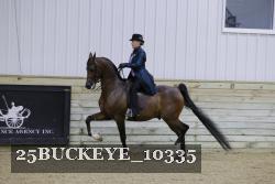 25BUCKEYE_10335 thumbnail