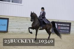 25BUCKEYE_10340 thumbnail
