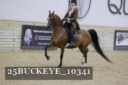 25BUCKEYE_10341 thumbnail