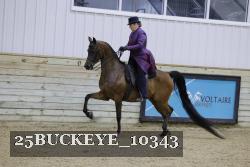 25BUCKEYE_10343 thumbnail