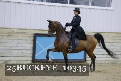 25BUCKEYE_10345 thumbnail