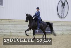 25BUCKEYE_10346 thumbnail