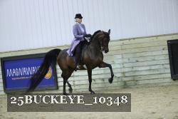 25BUCKEYE_10348 thumbnail