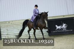 25BUCKEYE_10349 thumbnail