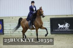25BUCKEYE_10350 thumbnail