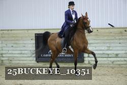 25BUCKEYE_10351 thumbnail