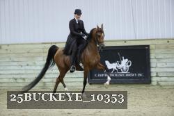 25BUCKEYE_10353 thumbnail