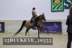 25BUCKEYE_10355 thumbnail